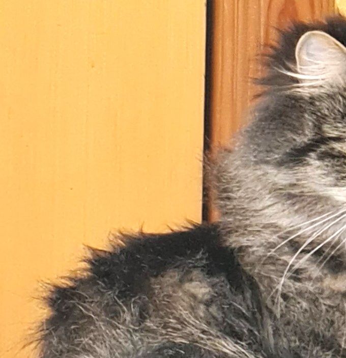 3 år og 5 måneder