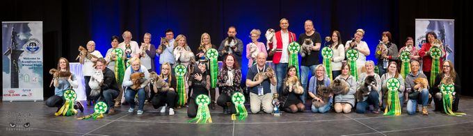 Alle vinnerne fra Scandinavian Winner Show 2017, Trønderkatten