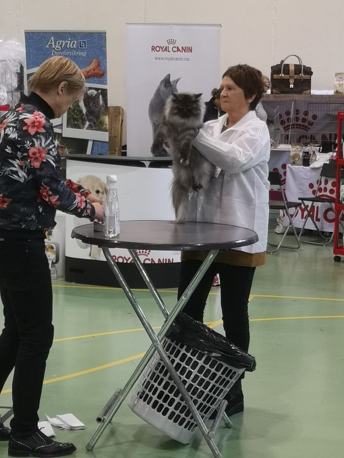 Kiitos i panel, som hun vant. 
